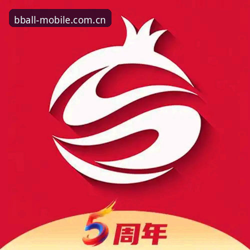 B体育APP网页版与客户端对比：手机端体验的两种方案全面评测